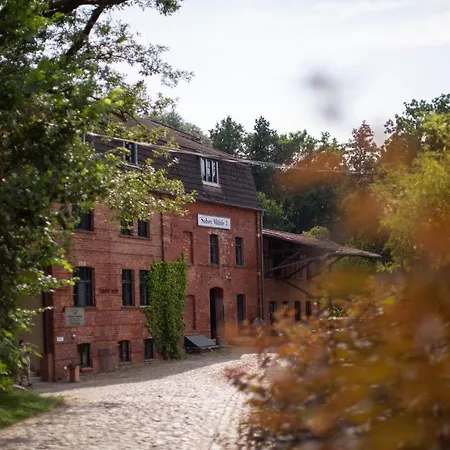 Daire Salveymuehle *