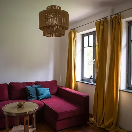 Daire Salveymuehle Freudenfeld