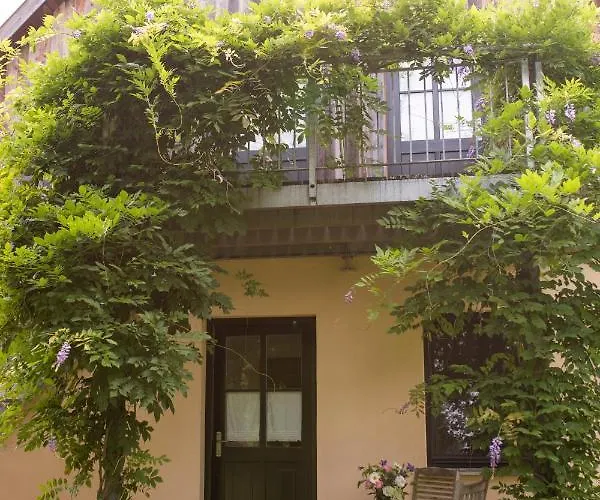 Daire Salveymuehle Freudenfeld