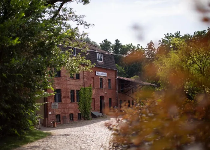 Daire Salveymuehle *