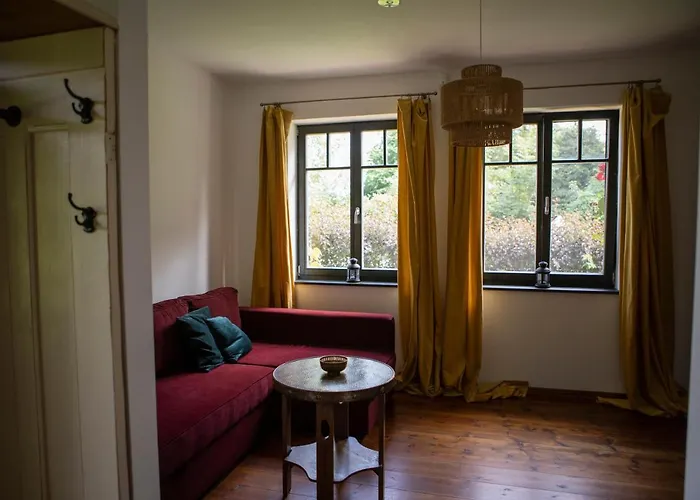 Daire Salveymuehle *